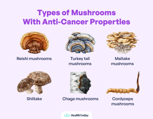 Studies Find Mushrooms Can Reduce Cancer...