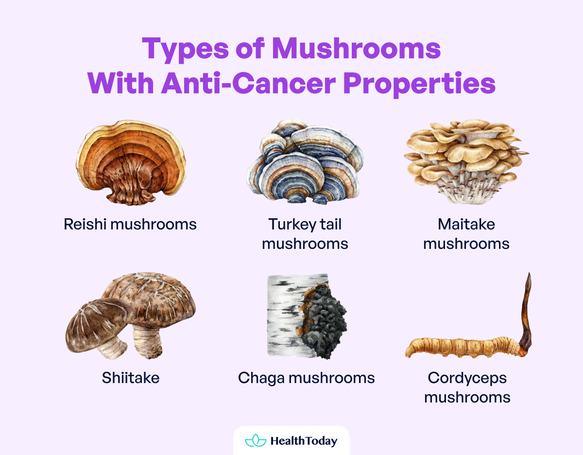 Studies Find Mushrooms Can Reduce Cancer...