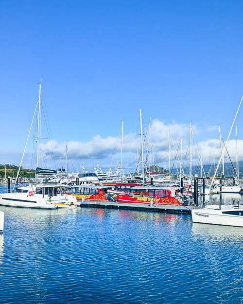 Thundercat Whitsundays boat in Airlie Beach Marina